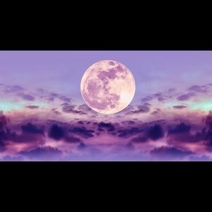 Meet your Posher, Annamarie